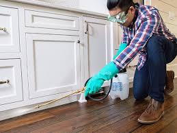 Best Residential Pest Control  in Marksville, LA